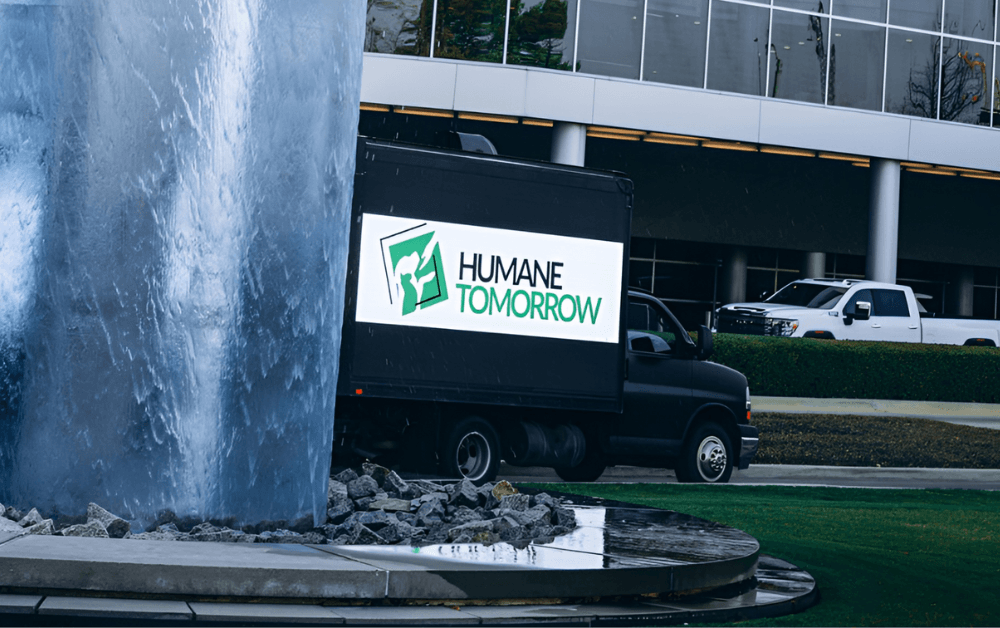 LED Truck Advertising for Dallas Events: A Guide for Small Businesses and Nonprofits